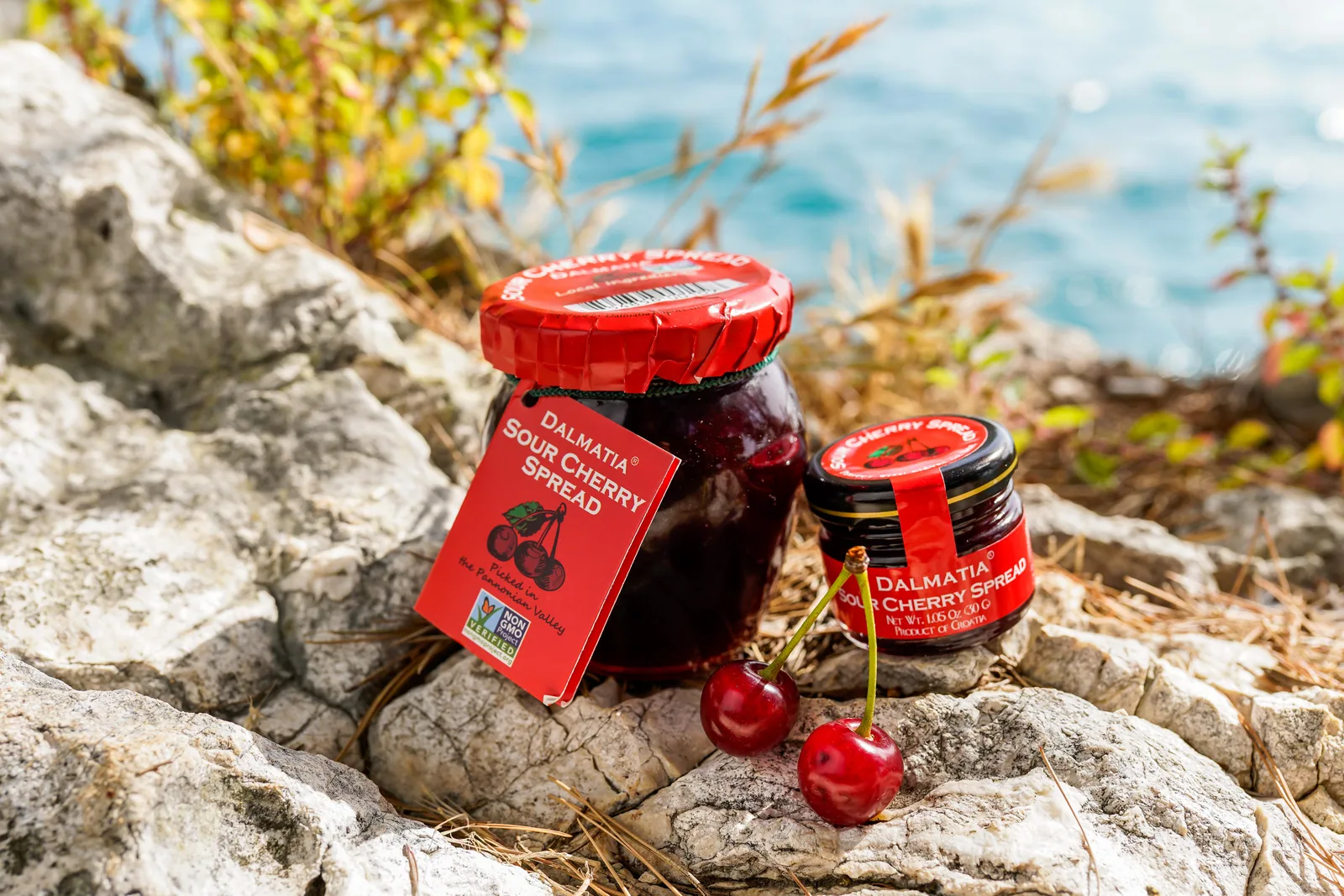 Long-Distance Gifting: When You Cannot Visit