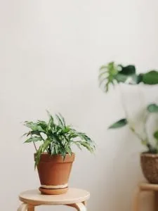 How to: Revamp Your Work Space!
