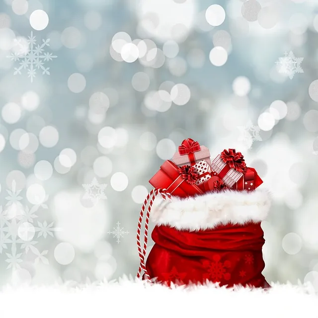 Christmas Gift Ideas