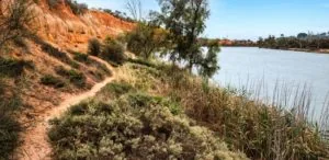 Our Favourite Australian Wineries!